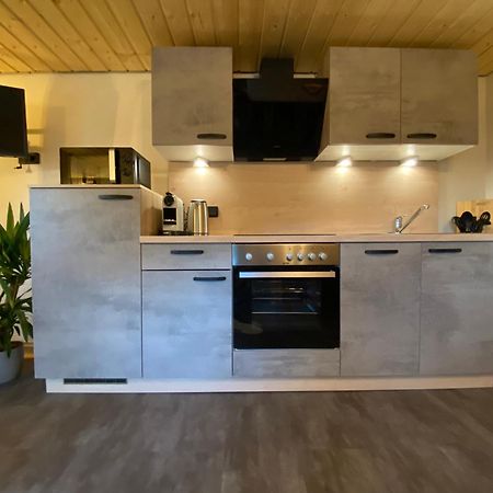 Nocky Mountains Lodge And Apartment 拉登泰因 外观 照片
