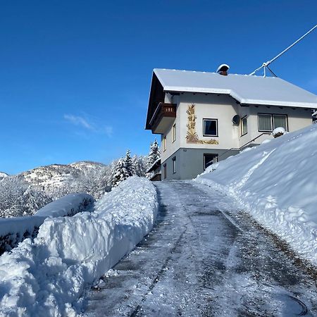 Nocky Mountains Lodge And Apartment 拉登泰因 外观 照片
