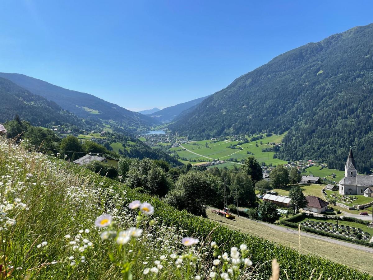 Nocky Mountains Lodge And Apartment 拉登泰因 外观 照片