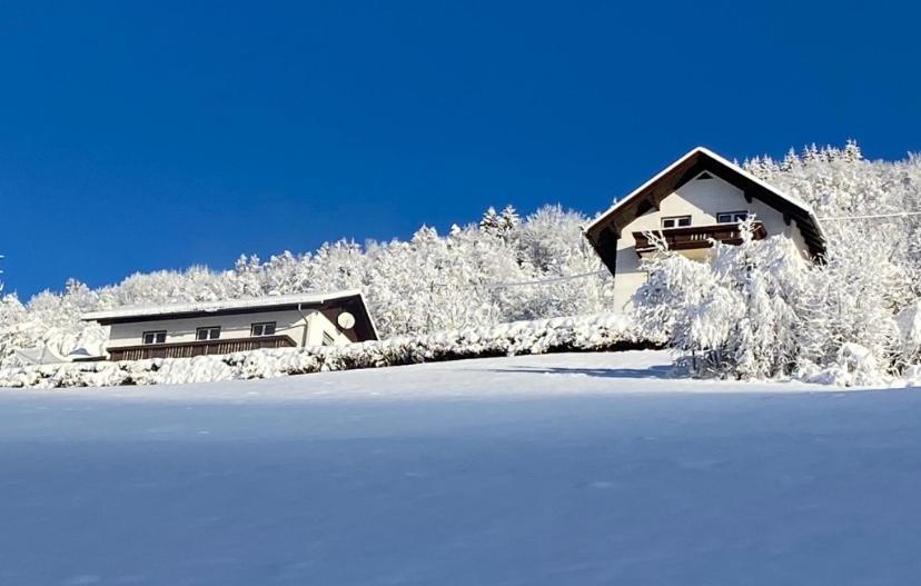 Nocky Mountains Lodge And Apartment 拉登泰因 外观 照片