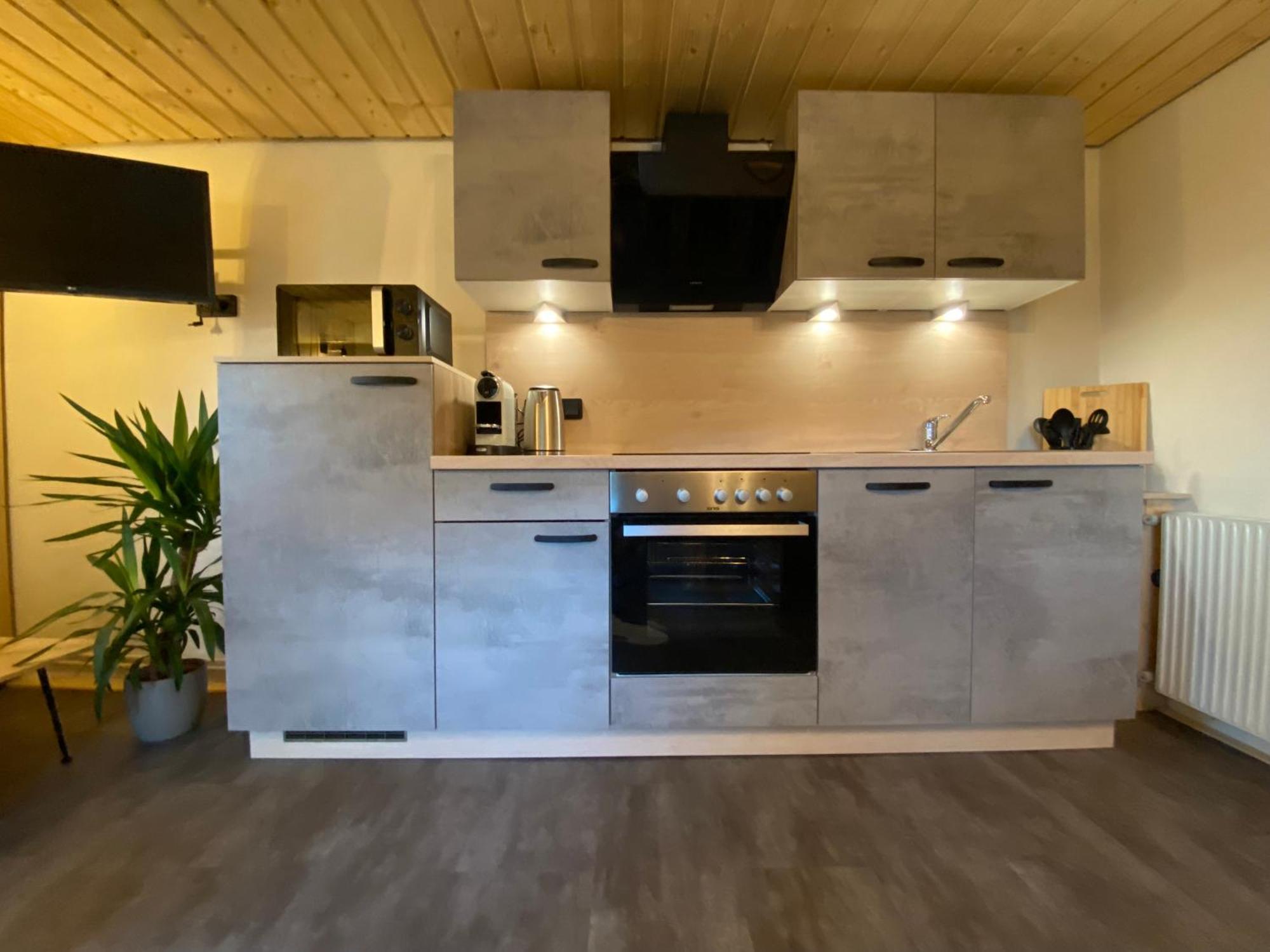 Nocky Mountains Lodge And Apartment 拉登泰因 外观 照片