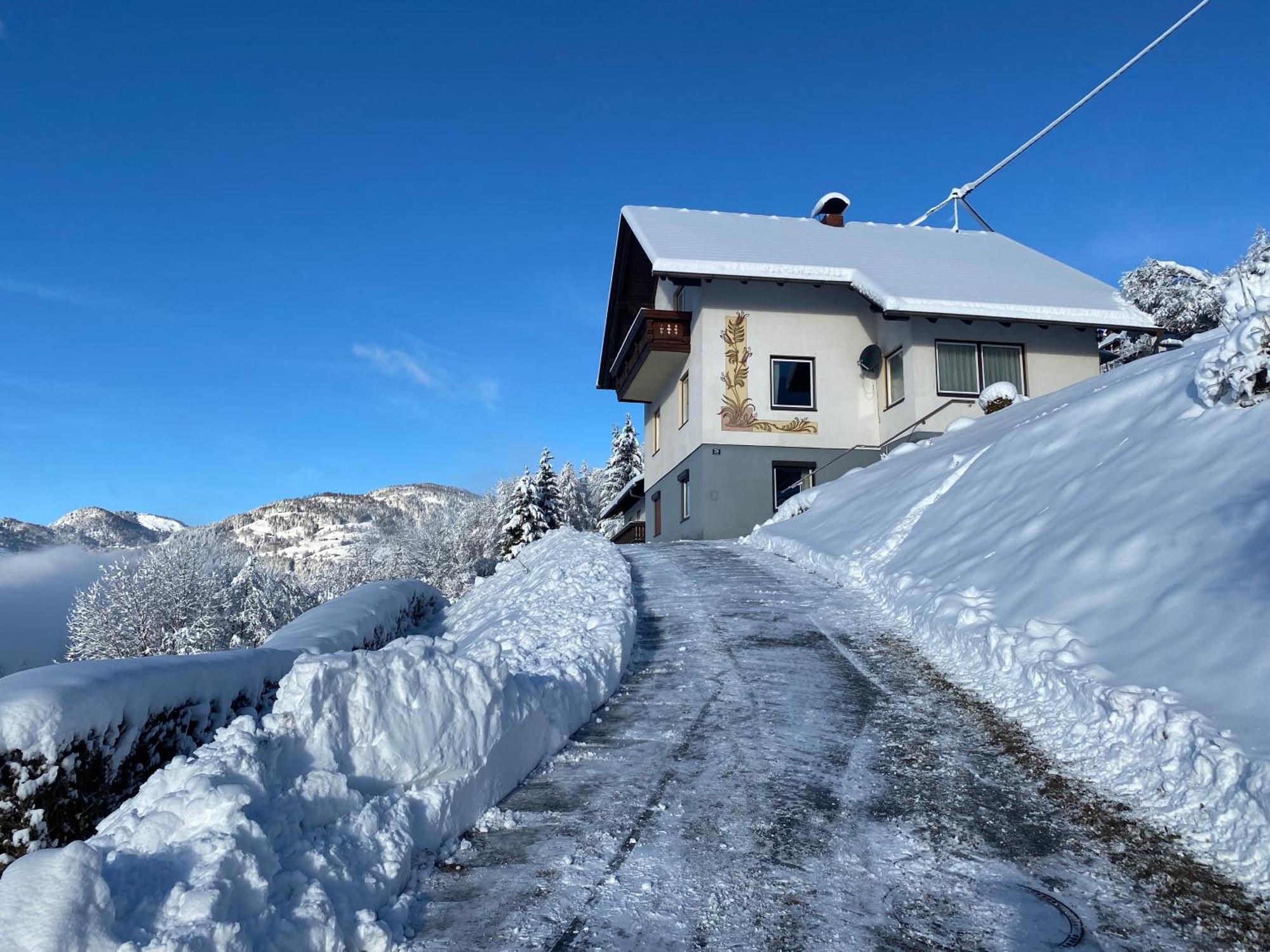 Nocky Mountains Lodge And Apartment 拉登泰因 外观 照片