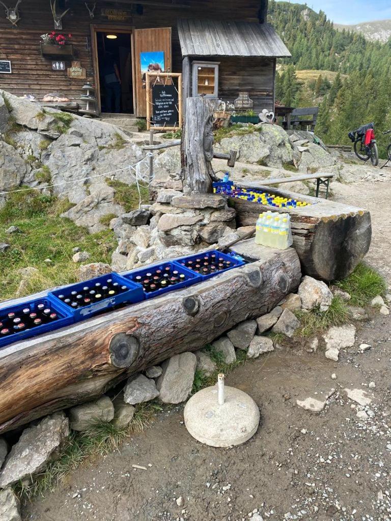 Nocky Mountains Lodge And Apartment 拉登泰因 外观 照片
