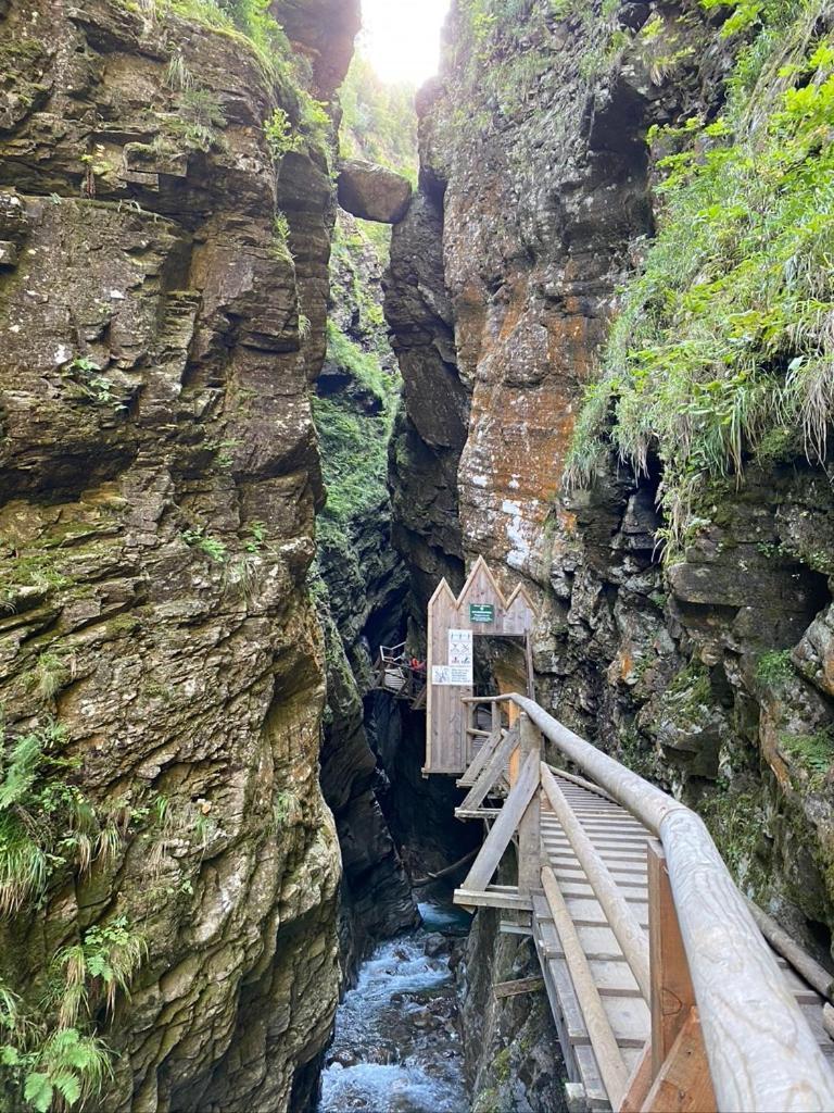 Nocky Mountains Lodge And Apartment 拉登泰因 外观 照片