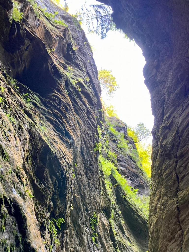 Nocky Mountains Lodge And Apartment 拉登泰因 外观 照片